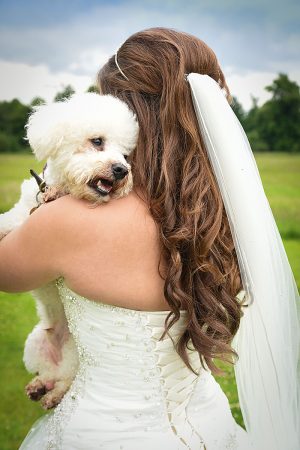Wedding Bride dog cuddling cuddle Bichon Frise