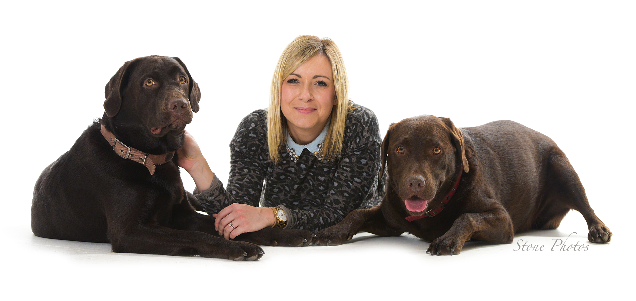 Dogs, pictures, portraits, fun, modern, lively, Maidenhead