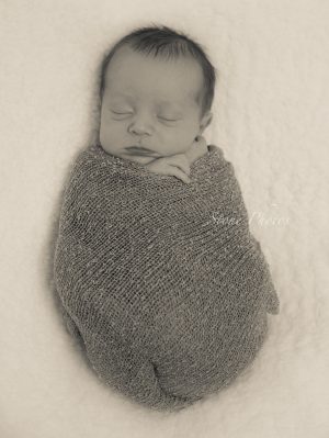 Newborn Baby Boy wrapped swaddled Studio cute